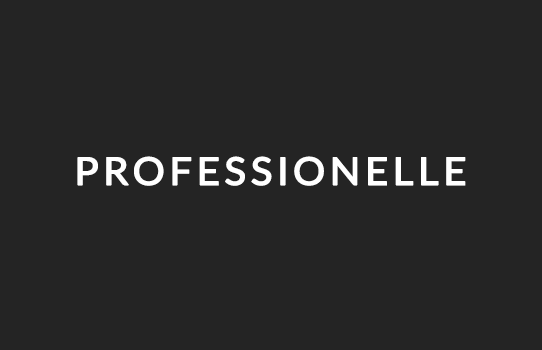 2 - Professionel