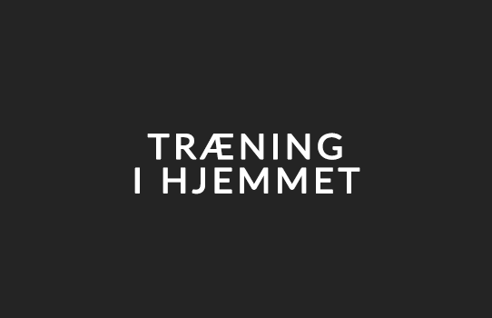1 - Hjemmet